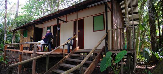 Image 4