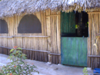 Image 9