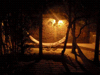 Image 6