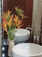 Khon Kaen Orchid