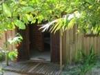 Canto Verde