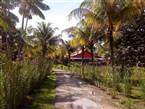 Mahatu Leticia Hostel