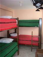 Diamond Monkey Lodge