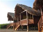 Surfing Turtle Lodge