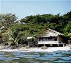 Rain Tree Bed and Breakfast