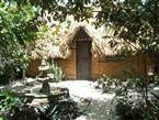 Casitas Kinsol