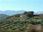 Agriturismo B&B Le Tre Poiane