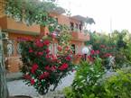 Patara Rose Pension