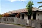 The 4 Fish