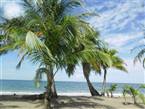 Casa Caribe