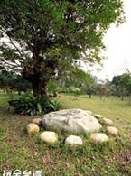 Taiwan Thumb-up Retreat B&B
