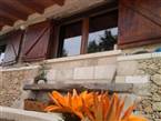Villa Mama Lecce