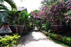 Lanta New Beach Bungalow