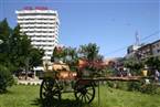 Decebal - Bacau