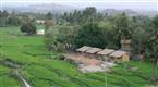 Gowri Guest House