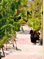 Dahab Hostel