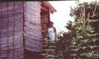 Olympia Treehouse & Camping