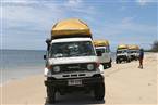 Dingos Resort