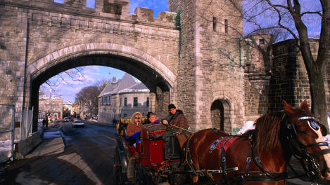 Image_10023-1