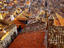 Image_103-902