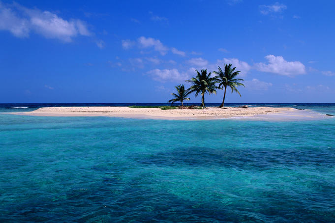 Coconut palms on a coral sand island in the blue-green waters of the Caribbean Sea off Lighthouse Reef.