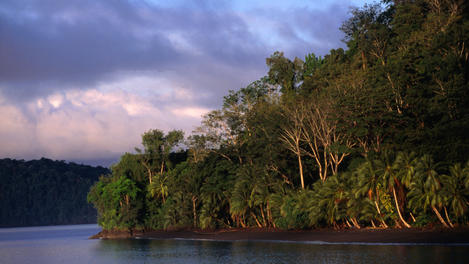 Costa Rica Península de Osa & Golfo Dulce