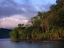 Tropical rainforests of Golfo Dulce in the Corcovado National Park.