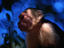 Image_10399-43