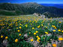 Kosciuszko National Park.