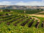 Vineyards, South Australia