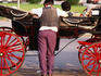 The fiacre is a classic form of transport in Vienna