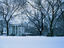 Image_1077-16