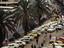 Kenya's cosmopolitan capital city, Nairobi