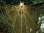 Image_10993-9