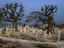 Image_11009-30