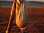 Image_11012-23