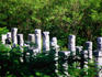 The Temple of the Warriors at Chichen Itza also called the Temple of 1000 columns, has Toltec influences.
