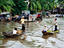 Can Tho, Mekong Delta river