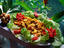 Image_112-303
