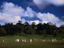 Cornwell Park, Auckland