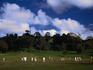 Cricket match at Cornwell Park.