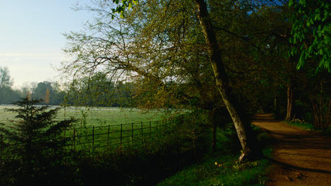 Image_1126-47
