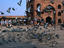 Pigeons take flight, Jama Masjid