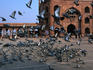 Pigeons take flight in the main courtyard of Jama Masjid in Delhi.