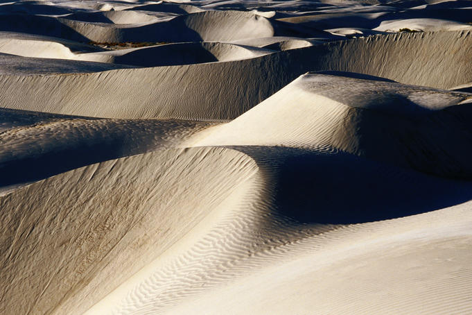 Coastal sand dunes, Dunas de Soledad.