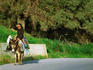 Elderly Cretan in the traditional black clothing riding sidesaddle on a donkey - Crete
