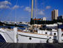 The Fort Myers Waterfront marina.