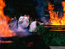 Fire festival at Kyoto's Fushimi Inari Shrine.