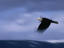 Image_11969-5