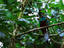 Image_11974-13